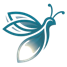 DataFirefly